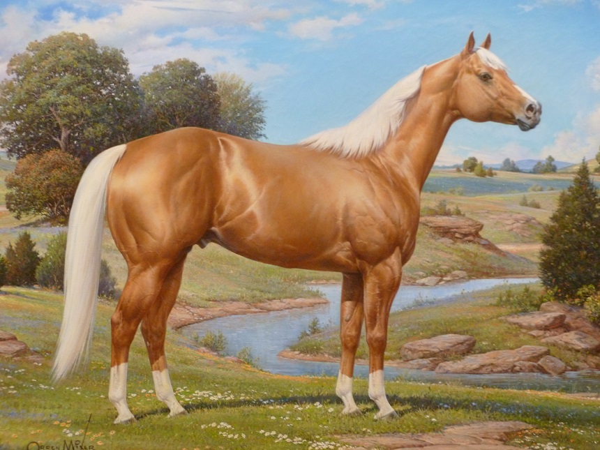 horse-ame